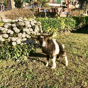 Annetta Bed & Breakfast Ercolano