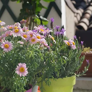 Bed & Breakfast In The Heart Of